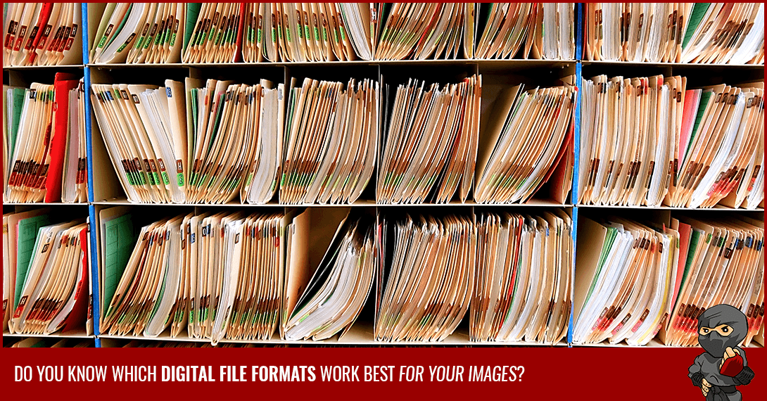 How to Choose the Right Digital File Formats for Your Images [Infographic]